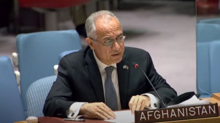  نماینده دولت اشرف غنی در مجمع عمومی سازمان ملل سخنرانی می کند