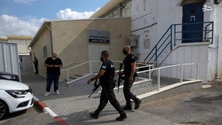 Media Yordania Rilis Video Larinya Tahanan Palestina dari Penjara Israel