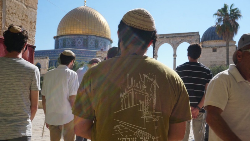 תיפלות למען התפרעויות