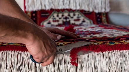 فرش ماشینی، صنعت قالی بافی را در هرات کم رونق کرده است