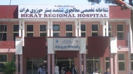خدمات پزشکی در هرات با وجود کمبود دارو  ادامه دارد