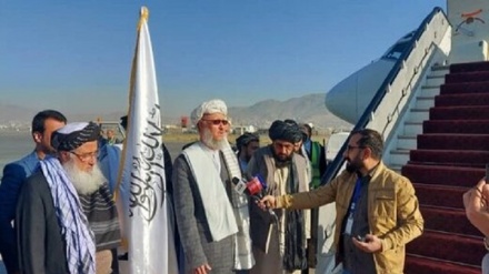 رایزنی های طالبان در ازبکستان 