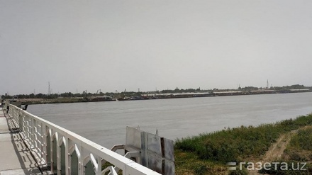 Виза муддати тугаган афғонистонликлар Ўзбекистондан чиқариб юборилмайди