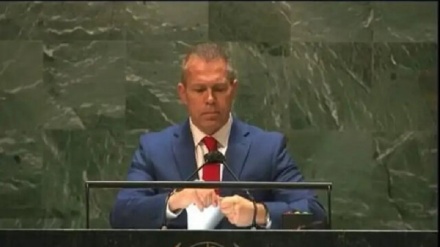 Israele e la violazione dei diritti umani + VIDEO