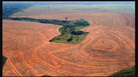 Brasile, deforestazione record in Amazzonia