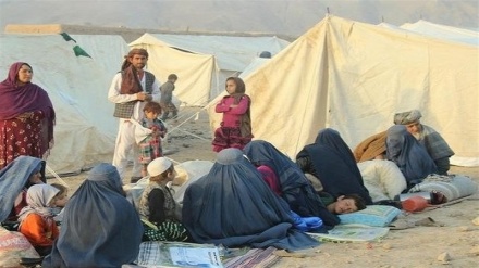 کمک نقدی سازمان ملل به آوارگان افغان