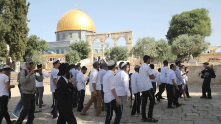 Pamukim Zionis Serbu Masjid Al-Aqsa
