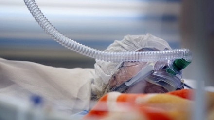 在过去24小时内，162名伊朗人染疫身亡