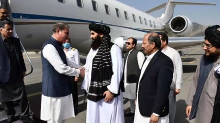 巴基斯坦外长抵阿访问
