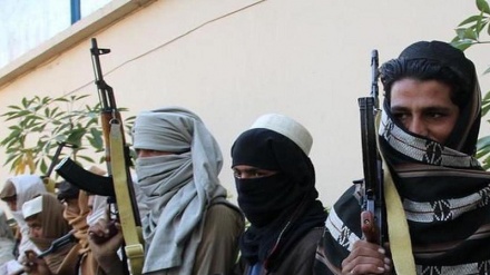 حمله تروریستی طالبان پاکستان به پاسگاه پلیس در پنجاب