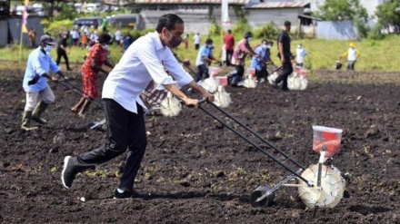 Melihat dari Dekat Kunjungan Presiden Jokowi ke Kota Sorong