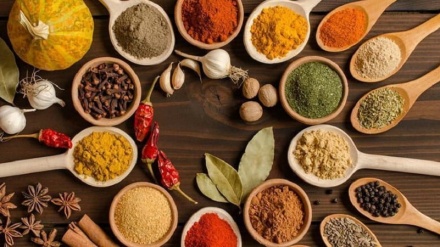 インド、調味料の発祥地