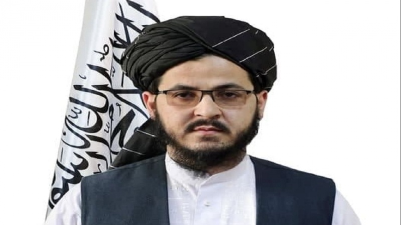 «قاری لطف الله حبیبی» سخنگوی وزارت دفاع طالبان شد