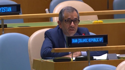 塔赫特·拉万希：以色列政权的罪行不应逍遥法外