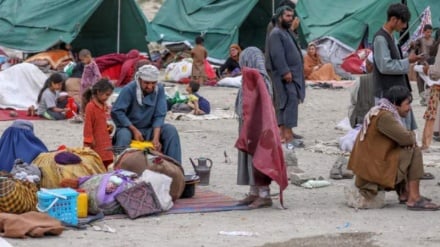 آوارگی 700 هزار خانواده در افغانستان در نتیجه ناامنی ها 