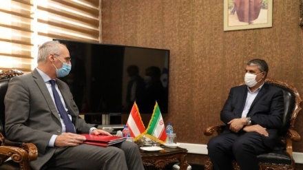 伊朗原子能组织主席：伊朗在谈判中面临声索国的违约和不作为