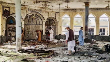 ISIS Dalangi Bom Bunuh Diri di Masjid Syiah Afghanistan