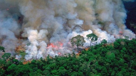 Në Brazil, shtohet prodhimi i gazit të Dioksidi i Karbonit