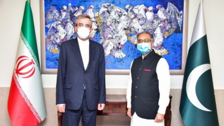 伊巴副外长达成一致扩大双边关系