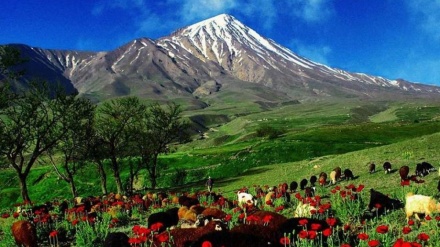 Эрон бўйлаб саёҳат  (30)