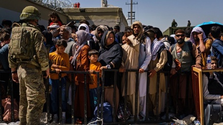 Racist US immigration official calls Afghans 'worms'