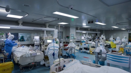 在过去24小时内，238名伊朗人染疫身亡