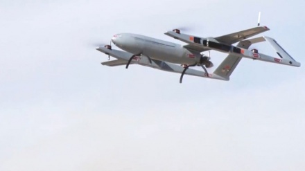 Pelikan 2, Drone Pengintai Maritim Iran