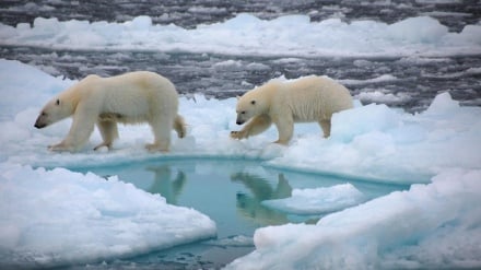 Arctic Sea ice hits 2021 minimum