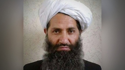 بررسی دلایل صدور فرمان رهبر طالبان درباره تمام انواع مواد مخدر و مشروبات الکلی