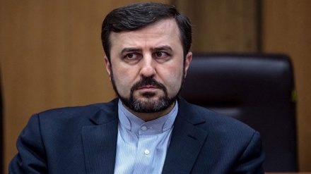 Iranian official urges Swedish FM to heed UN rights experts' report warning about over-compliance with US sanctions