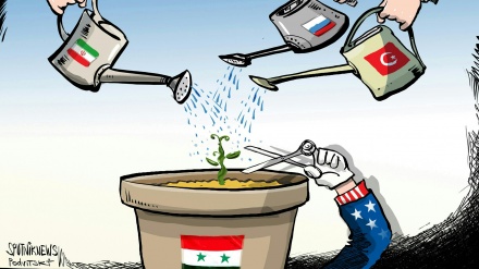 Карикатура: бидуни шарҳ