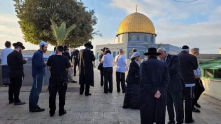 Palestina occupata, 100 coloni invadono al-Aqsa