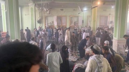 37 persona vriten nga shpërthimi terrorist në xhaminë shiite në Kandahar 