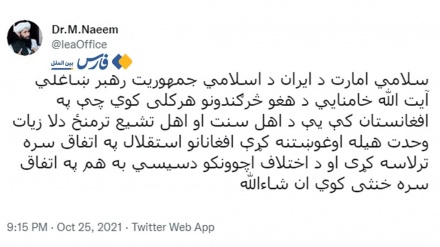 塔利班欢迎伊斯兰革命最高领袖就什叶派和逊尼派团结以及在阿富汗打击达易沙的言论