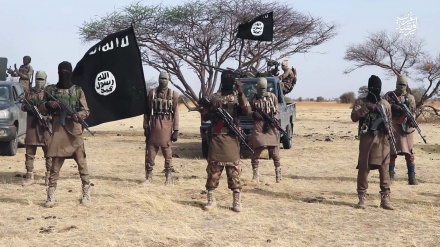 Ushtria Nigeriane: Vritet lideri i ri i ISIS në Afrikën Perëndimore