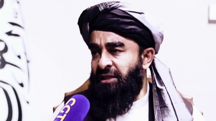  Taliban spokesperson censures US atrocities against Afghans, urges compensation 