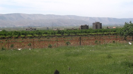  مقام لبنانی: سوخت ایران بخش کشاورزی را از فروپاشی حتمی نجات داد