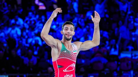 2020年奥运会冠军在世界古典式摔跤比赛中获得金牌