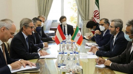 巴盖里在第五轮伊朗-奥地利政治会谈中称：欧洲在美国退出《伊核协议》之后没有采取任何实际行动