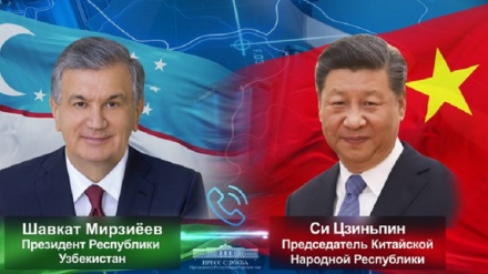 乌中两国总统就加强战略伙伴关系通电话