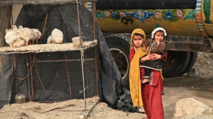 نگرانی یونیسف از وضعیت تحصیلی کودکان افغان 