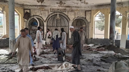 Pembantaian Sesama Muslim di Afghanistan dan Tanggung Jawab Taliban