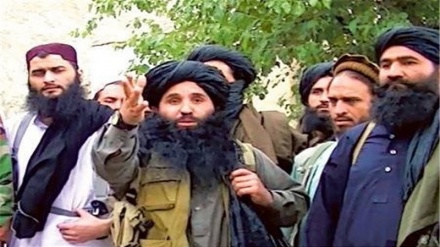 پذیرش آتش بس از سوی طالبان پاکستان