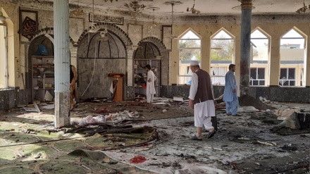 US devilry behind Daesh terrorism in Afghanistan