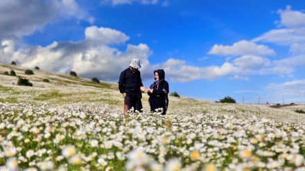 Një kopsht parajse në mesin e malin