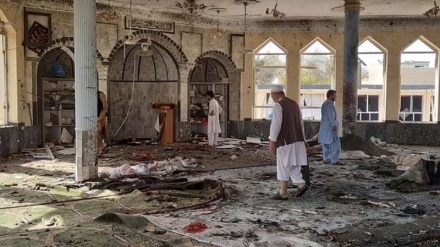 گزارش ویژه: واکنشهای داخلی و خارجی از کشتار شعیان افغانستان 