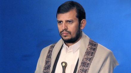 也门部族欢迎也门安萨鲁拉运动秘书长的计划