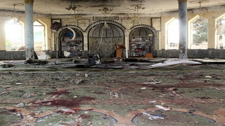 Taliban'ın IŞİD ile mücadele için ABD ile işbirliği yapmama vurgusu