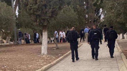 Dozens of illegal Zionist settlers storm Aqsa Mosque in latest provocation act 