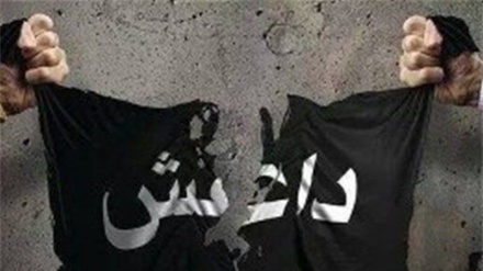 Taliban Tangkap Pentolan Daesh di Kandahar